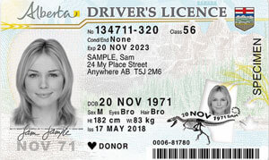 AB commercial driver's licence