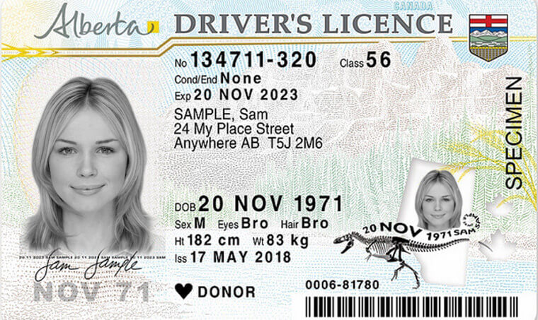 alberta drivers license special conditions code b