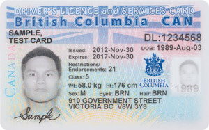 BC commercial driver's licence