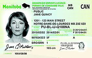 Manitoba driving licence