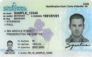 NB driver's licence