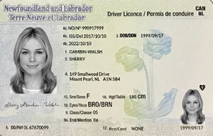 NL  driver's license