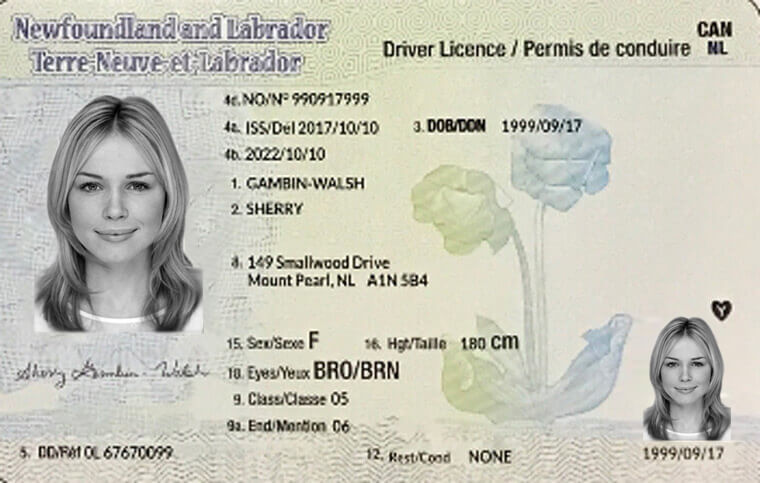 ontario drivers license number format