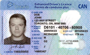 ON driver's licence
