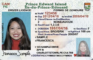 PE  driver's license