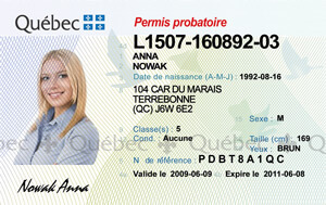 QC driver's licence