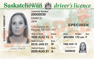 SK commercial driver's licence